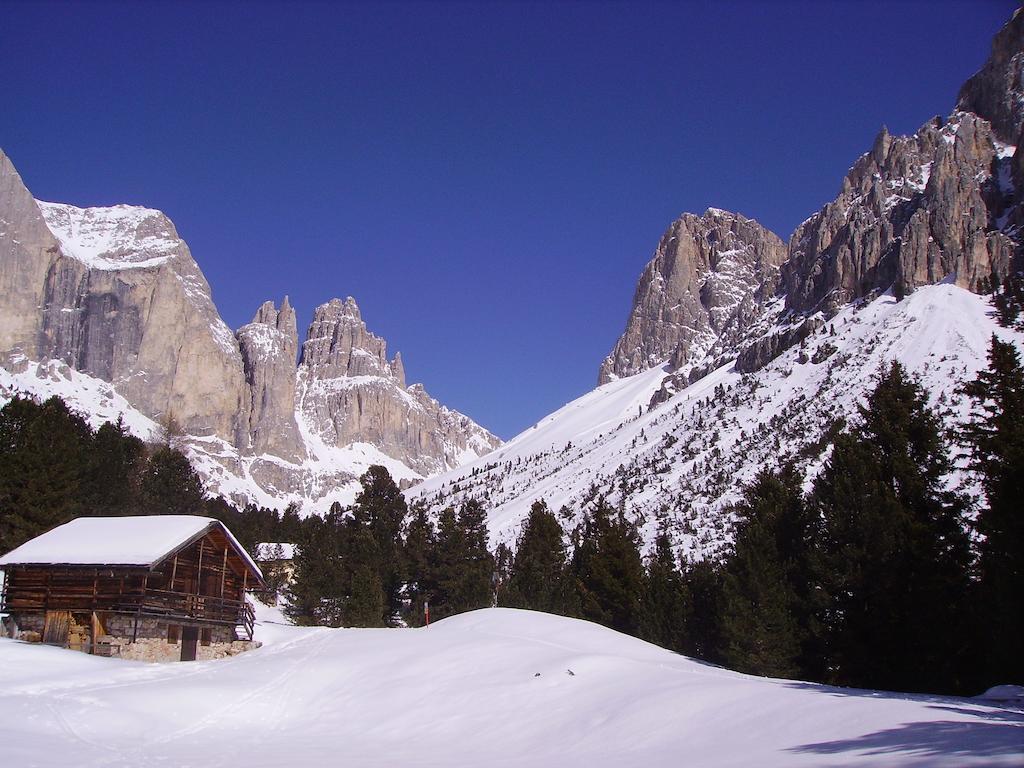 فندق بوتسا دي فاسّافي  Rifugio Gardeccia Hutte المظهر الخارجي الصورة